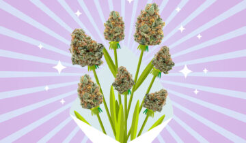 Choosing the Perfect Mother’s Day Flower w/ Spinach & ShinyBud