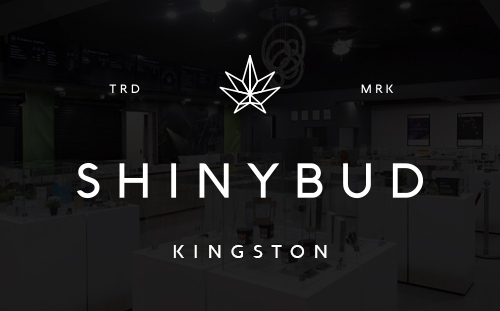 ShinyBud Kingston